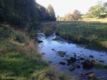 NT Wallington - River Wansbeck.jpeg